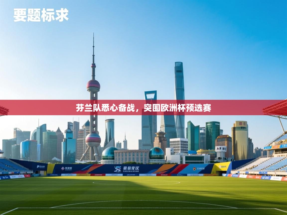 芬兰队悉心备战，突围欧洲杯预选赛  第2张