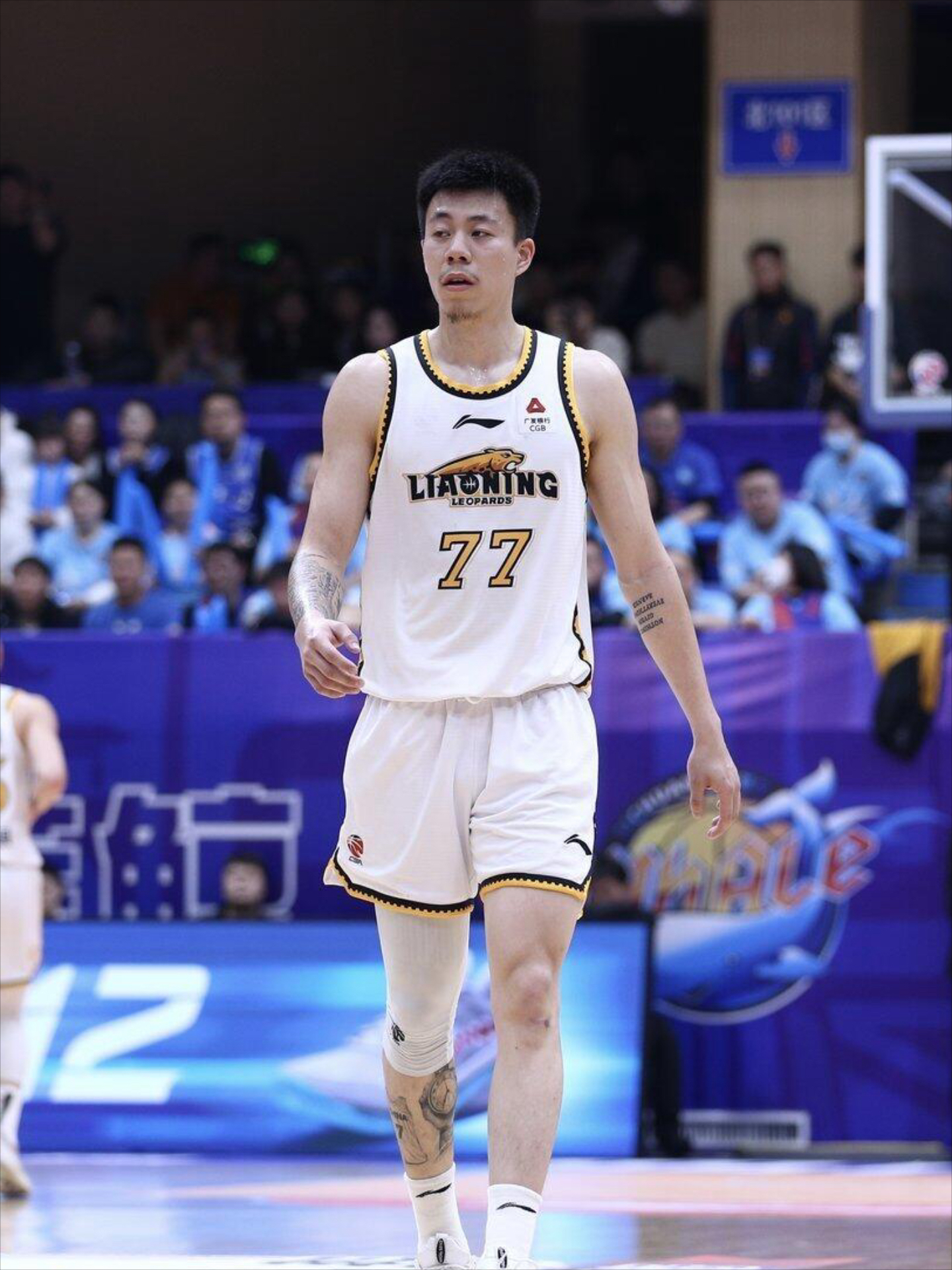 九游体育官网-吉林队实力不俗，稳定取胜连胜的简单介绍