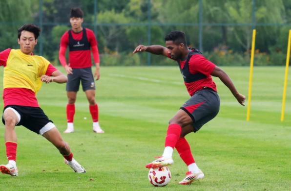 汉堡迎来重要一役，全力备战主场战斗的简单介绍